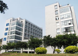 厦门市食品行业协会与电子产品销售的跨界融合探索